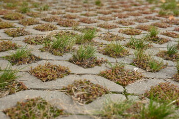 Background texture of square tiles made of gray natural stone. Concrete street covering of road, geometric paving pattern, green lawn and eco parking, green parking, sustainable development city