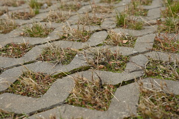 green with burnt-out grass eco-parking as a backdrop, a concept of sustainable living in the city 