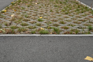 green with burnt-out grass eco-parking as a backdrop, a concept of sustainable living in the city 