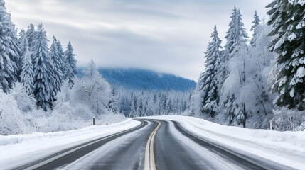 Fototapeta na wymiar Road in winter forest