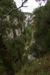 Paisaje desde el interior de la hoz de Arbayun, reserva natural, desde el mirador, sierra de Leyre, Navarra, España.