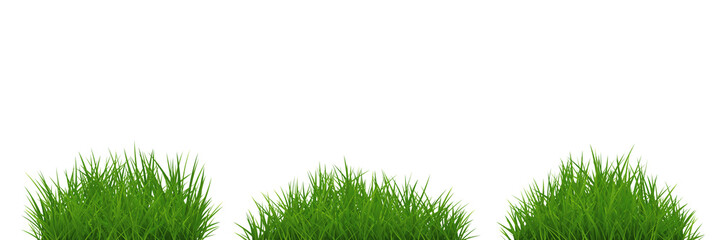 Fototapeta premium Green grass bunch Isolated PNG