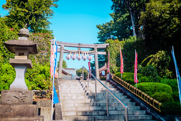 Obraz premium 【東京】氷川神社 七五三撮影