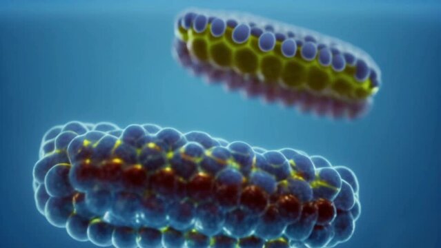 cell life, abstract scientific illustration