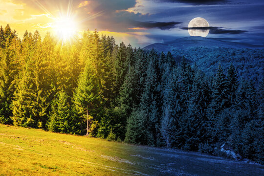 summer mountain landscape with sun and moon at twilight. spruce forest on the hillside. day and night time change concept. mysterious nature scenery in morning light