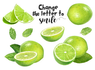 Watercolor illustration of limes mint set close up. Design template for packaging, menu, postcards. PNG
