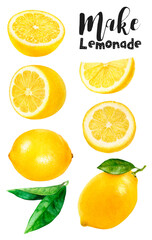 Watercolor illustration off lemon set close up. Design template for packaging, menu, postcards. PNG