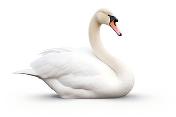 Generative AI : White swan isolated on transparent or white background.