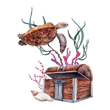 A composition with sea turtle, seaweed and coral near opened sunken treasure chest. Hand drawn watercolor illustration isolated on transparent background. Part of tropical coral reef collection.