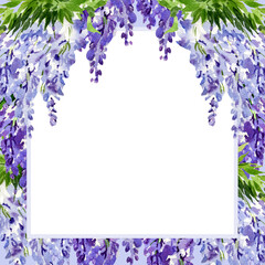 watercolor square frame with branch of wisteria blossom flowers, hand drawn illustration with spring lilac flowers, blue plant isolated on white background