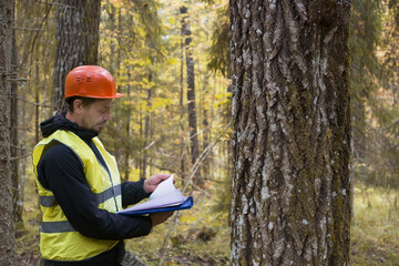 An ecologist works in the forest. A forest engineer inspects a forest planting.