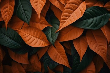 Textures of abstract orange leaves for tropical leaf background. Flat lay, dark nature concept, tropical leaf
