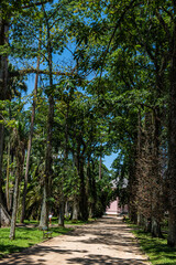 Walking through the Botanical Garden of Rio de Janeiro, learning and enjoying