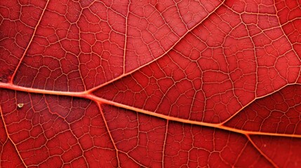 plant tree macro background intricate illustration abstract closeup, green environment, organic bark plant tree macro background intricate