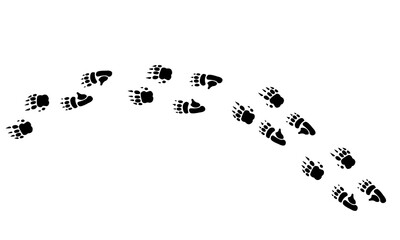 Australian animal ,bird paw prints, vector illustration wild animal footprints black on white background. Wombat foot print for different design.