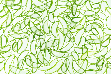 trendy pattern of green aloe vera slices background for design banner, poster, flyer, card, postcard, cover