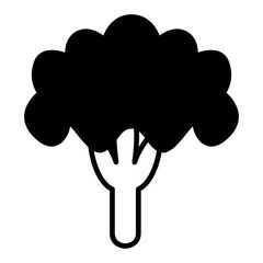 Cauliflower, cooking, food, vegetable