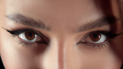 Close-up of beautiful female eyes looking at the camera. The concept of professional makeup, decorative cosmetics and excellent vision.