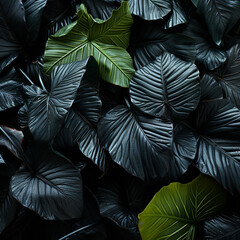 black and green leaves