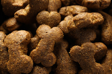 Fototapeta premium Tasty and delicious food for pet, pet accessories