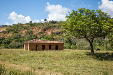 Old house built in mud with tree in a rural area of the city Tiradetes, Minas Gerais, Brazil