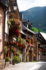 Beautifull village with flowers sorrounded by mountains 