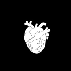 Black and white Heart organ vector illustration 
