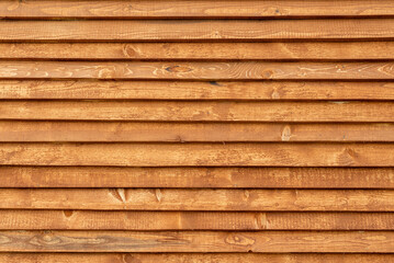 wood texture background wooden wall