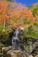 waterfall in autumn hakone
