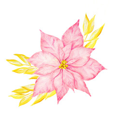 Pink poinsettia and gold branches. Watercolor hand drawn illustration of Christmas star. Winter symbol, new year ornament for holiday season prints, greeting cards, banners, invitations, packing