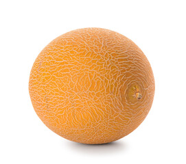 Sweet whole melon on white background