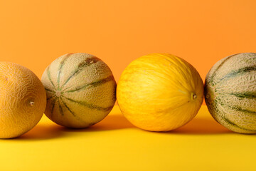 Different sweet melons on colorful background