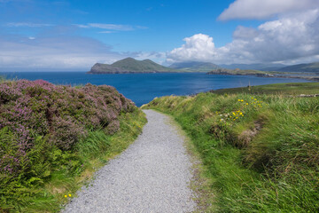 Obraz premium Landschaft auf Valentia Island, Irland