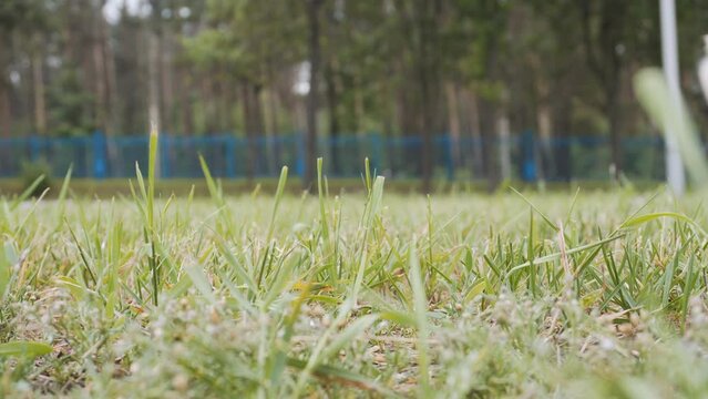 Defocused military infantry fighting vehicle with cannon and tracks drives by near trimmed lawn. Dangerous self propelled weapons in camouflage are driving around city to ensure safety from attack.