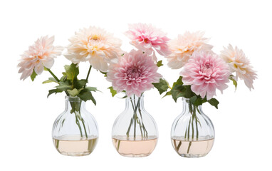 Collection of Beautiful Centerpieces Isolated on Transparent Background PNG.
