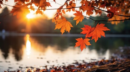 "Nature's Color Symphony: Relaxing in Autumn Hues" red maple leaves and bokeh light, background of lake view in the morning.	