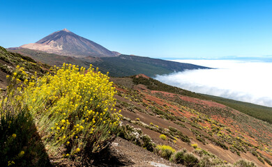 Teide National Park