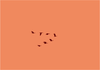 夕暮れの空に数羽の渡り鳥がV字で飛んでいるイラスト