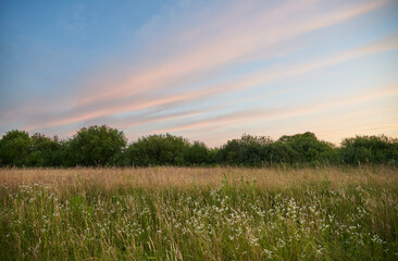 Fototapeta premium beautiful landscapes of Ukraine