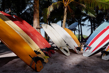 The set of surfboards in the tropical rental.