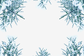 Christmas tree in the snow isolated on a white background. greeting card.