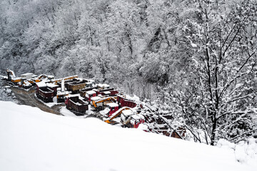 Dump trucks, tractors, excavators and various construction equipment and vehicles under the snow in the snowy mountains in Georgia in winter