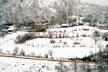 Winter landscape of a mountain village. Houses and trees covered in snow on a hill in Georgia