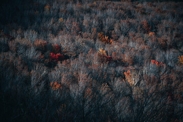 red rock texture - obrazy, fototapety, plakaty