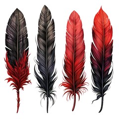 set of red and black watercolor feathers on white background