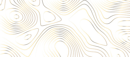 abstract White wave paper curved reliefs background .Panorama view gradient multicolor wave curve lines banner background design. Vector illustration. wave Line topography map contour background. - obrazy, fototapety, plakaty