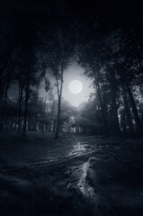 dark night in mysterious forest with full moon © andreiuc88