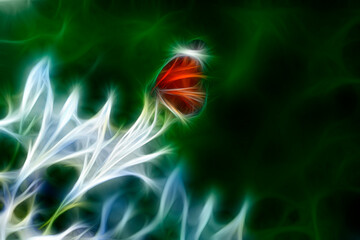 Butterfly in the wild line art in neon style - obrazy, fototapety, plakaty