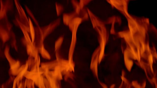 orange flames surge upward on a black background, forming bold fiery shapes with flowing motion, glowing heat, and dramatic contrast in an intense abstract blaze scene.