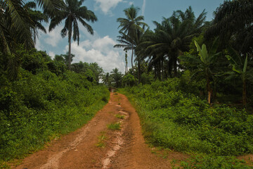 Fototapeta na wymiar The red African soil, Benin